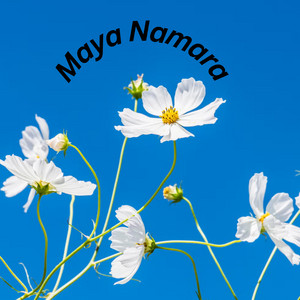 Dhumsh Music - maya Namara