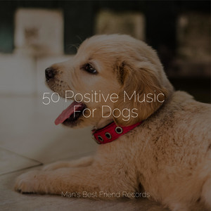 50 Positive Music For Dogs album