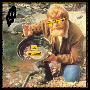album cover: hol newland