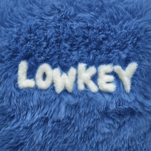 Lowkey by B THE HOOD