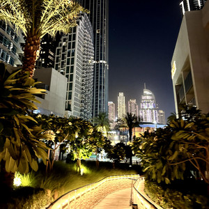 Portada de DXB