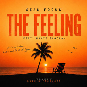 The Feeling by Sean Focus, Hayze Engola