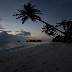 Please help me, honey - futuresolosloweed