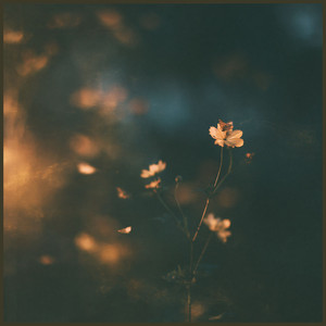 Breathing by Melodin