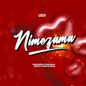 UDI - Nimezama