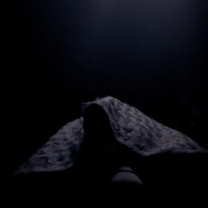 LATENT FORCE (Special Version)
