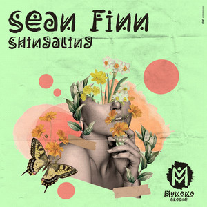 Shingaling by Sean Finn