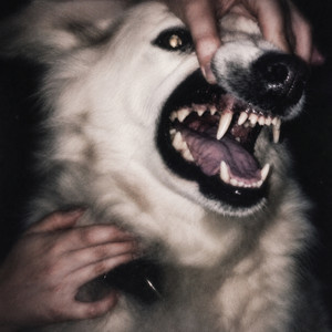 ПСИНА by GOSH$HADE