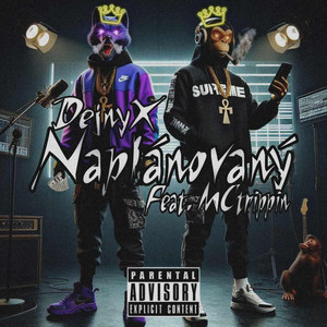 Naplánovaný  (feat. MCtrippin)