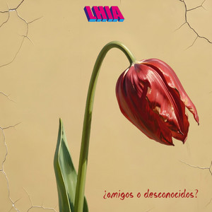¿Amigos o Desconocidos? by LHIA