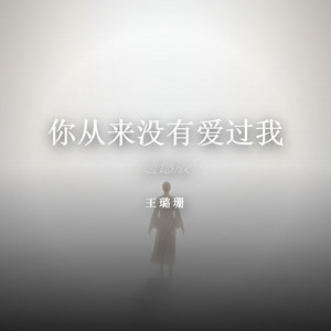 你从来没有爱过我（遗憾版） by 王璐珊