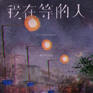 我在等的人 by 杨天天, 张良