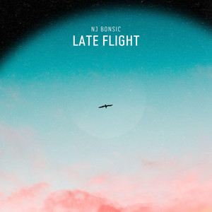 Late Flight by NJ bonsic