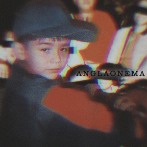 Vida Suave - Anglaonema