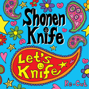 Tortoise Brand Pot Cleaner's Theme by Shonen Knife