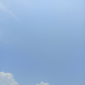 I'm down by Nippon Band