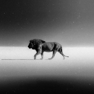 Pterterm Sd - Sp Jroor