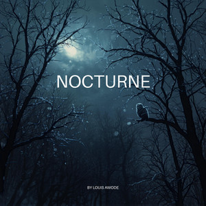 NOCTURNE by Louis Awode