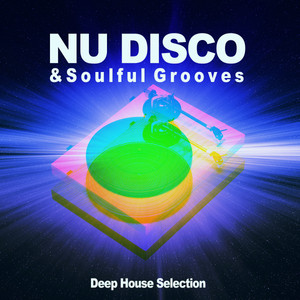 Disco系12インチ　42枚セット Nu House Deep /