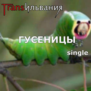Обкладинка: Гусеницы