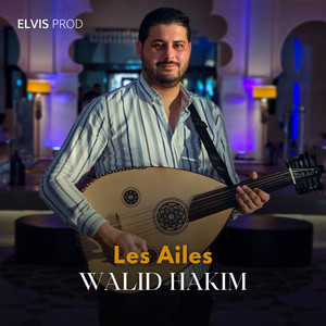 Walid Hakim - Les ailes - Oud solo
