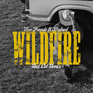 Wildfire - rad cat Remix by Two Friends, BRELAND, rad cat
