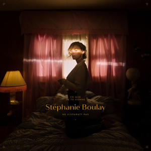 Je pourrai plus jamais by Stéphanie Boulay