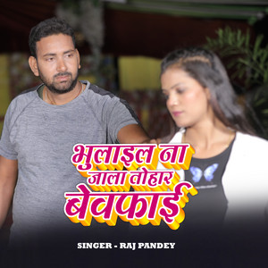 Raj Pandey - Bhulail Na Jala Tohar Bevfai