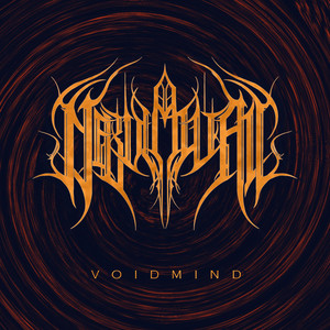 Обкладинка: Voidmind - Instrumental