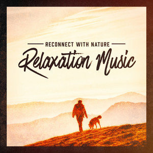 Reconnect With Nature Relaxation Music album