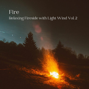 Fire: Relaxing Fireside with Light Wind Vol. 2 album