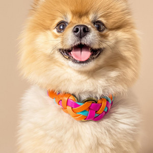 A Happy Dog by BRAYAN DE LA ROSA