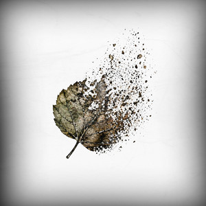 butterflysaveme — Тяжести бытия