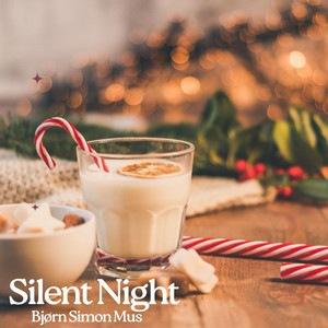 Bjorn Simon Mus — Silent night