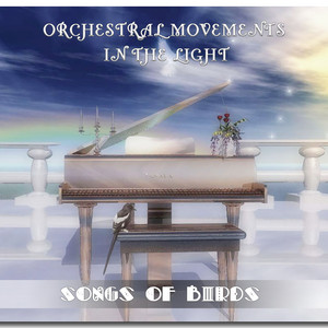 Orchestral Movements in the Light - Aquarium