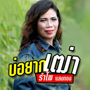 Bo Yak Thao