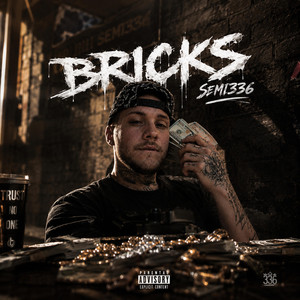 Bricks