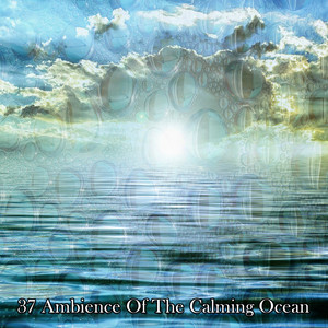 37 Ambience Of The Calming Ocean album
