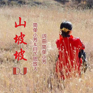 山坡坡(DJ版) by 简单小芳, 月下思故人