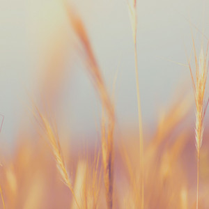 Zonnig by Meditatie Muziek