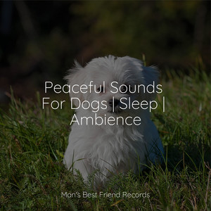 Peaceful Sounds For Dogs | Sleep | Ambience album
