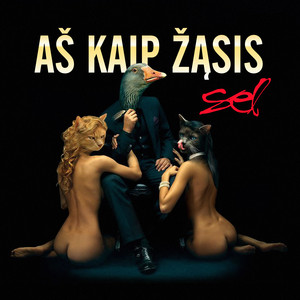 Aš kaip žąsis cover