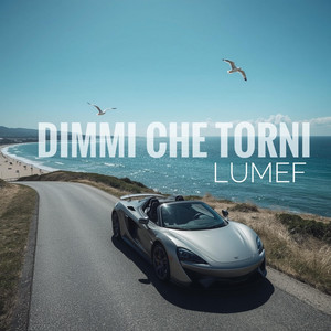 Dimmi che torni
