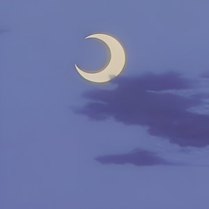 SadBoyTrey - #love symphony