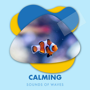 Calming Sounds of Waves For Solitude album