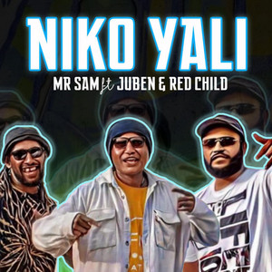 MR.SAM - NIKO YALI (feat. Juben & RedChild)