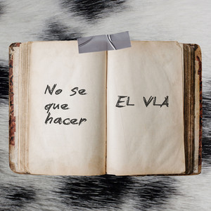 No Se Que Hacer by El Vla