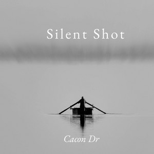 Silent Shot by Cacon Dr