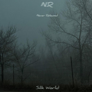 Silk World - Is It Fair?