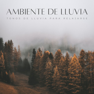 Ambiente De Lluvia: Tonos De Lluvia Para Relajarse album